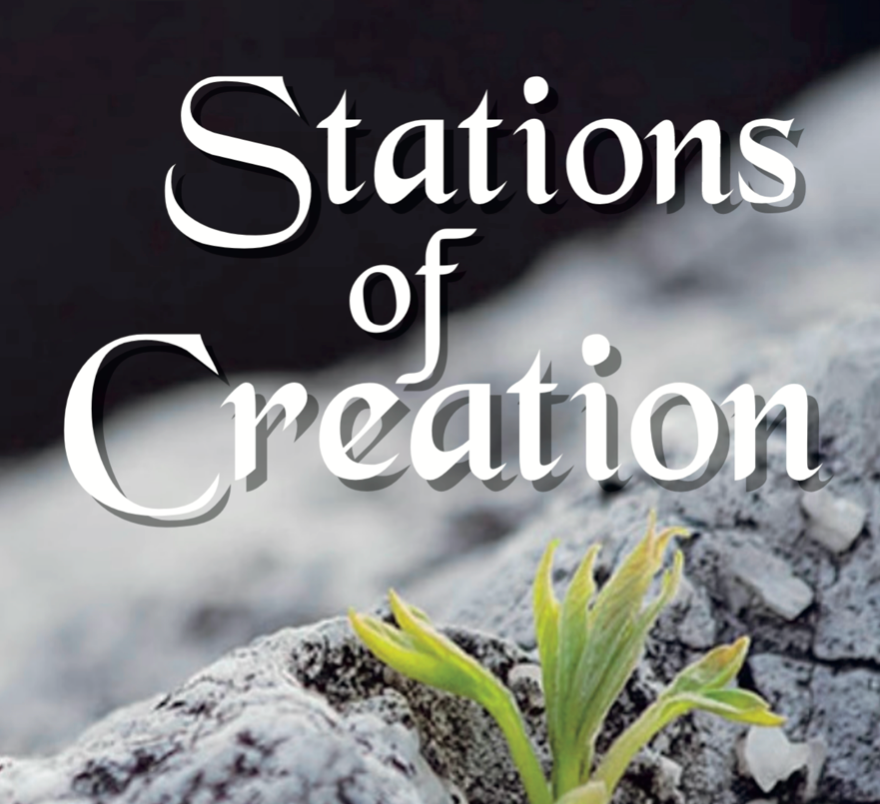 Stations Of Creation